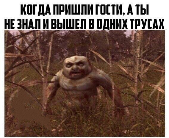    :D - 19  2017  08:07
