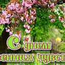 ���� ��������, ������������, 71 ��� - ��������� 24 ������ 2017 � ������ �������� ��������