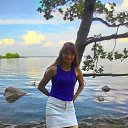  , -, 55  -  21  2017      .