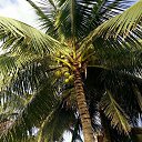 ���� ����, ������, 60 ��� - ��������� 7 ���� 2017 � ������ ���� ����������