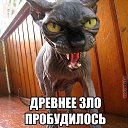 ���� �����, �������-��������� - ��������� 26 ��� 2017 � ������ ���� ����������