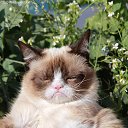 ���� Vassa, ���� - ��������� 29 ���� 2017 � ������ ������ ��������