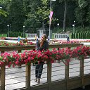 ���� ������, ������� - ��������� 24 ������ 2017 � ������ ���� ����������