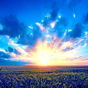 ���� �����, ����������� - ��������� 2 ���� 2017 � ������ ���� ����������