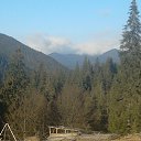 ���� ���������, ����, 40 ��� - ��������� 9 ������ 2017 � ������ ���� ����������