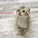 ���� ������, ������ - ��������� 31 ������� 2017 � ������ �������