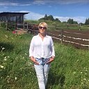 ���� ������, ����, 62 ���� - ��������� 24 ��� 2017