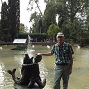 ���� ����, �������, 66 ��� - ��������� 20 �������� 2017 � ������ ��������-������ ����.�