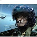 ���� ������, ������� - ��������� 4 ������ 2017 � ������ ���� ����������