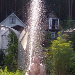 ���� �������, ������������, 43 ���� - ��������� 7 ������� 2017