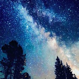 Фото Лиза, Санкт-Петербург, 26 лет Лиза, Санкт-Петербург, 26 лет