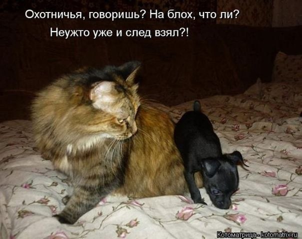 ���� ������ - 2 ��� 2017 � 19:20