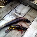 �� �������. �� ������� ���� ����������