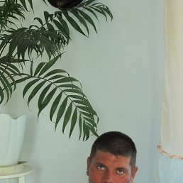 �������, ����������, 42 ����