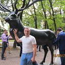 ���� ����, ������, 43 ���� - ��������� 1 ������ 2017 � ������ ���� ����������