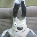 ���� ����, �����-���������, 41 ��� - ��������� 25 ���� 2017