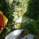 ���� ������, ����� ������, 58 ��� - ��������� 30 ���� 2017 � ������ ���������� ���� 2017�