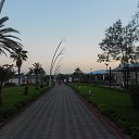  , -, 42  -  8  2017   , 2017 ()