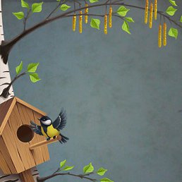 ���������, ����������