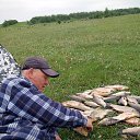 ���� �����, ���������� �����, 52 ���� - ��������� 13 ���� 2017 � ������ ���� ����������