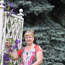 ���� �������, ���������, 58 ��� - ��������� 23 ��� 2017 � ������ ���� ����������