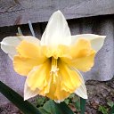 ���� �������, ������, 58 ��� - ��������� 30 ������ 2017 � ������ ���������� �����