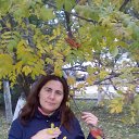 ���� �����, ������, 48 ��� - ��������� 9 ������� 2017 � ������ ���� ����������