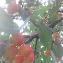 ���� ������, ������� - ��������� 25 ���� 2017 � ������ ������ ��������