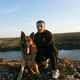 ������� ��������, �����������, 37 ���