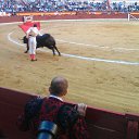 ���� Irina, ������, 55 ��� - ��������� 19 ��� 2017 � ������ ���� ����������