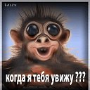 ���� �����, ��������, 63 ���� - ��������� 29 ���� 2017