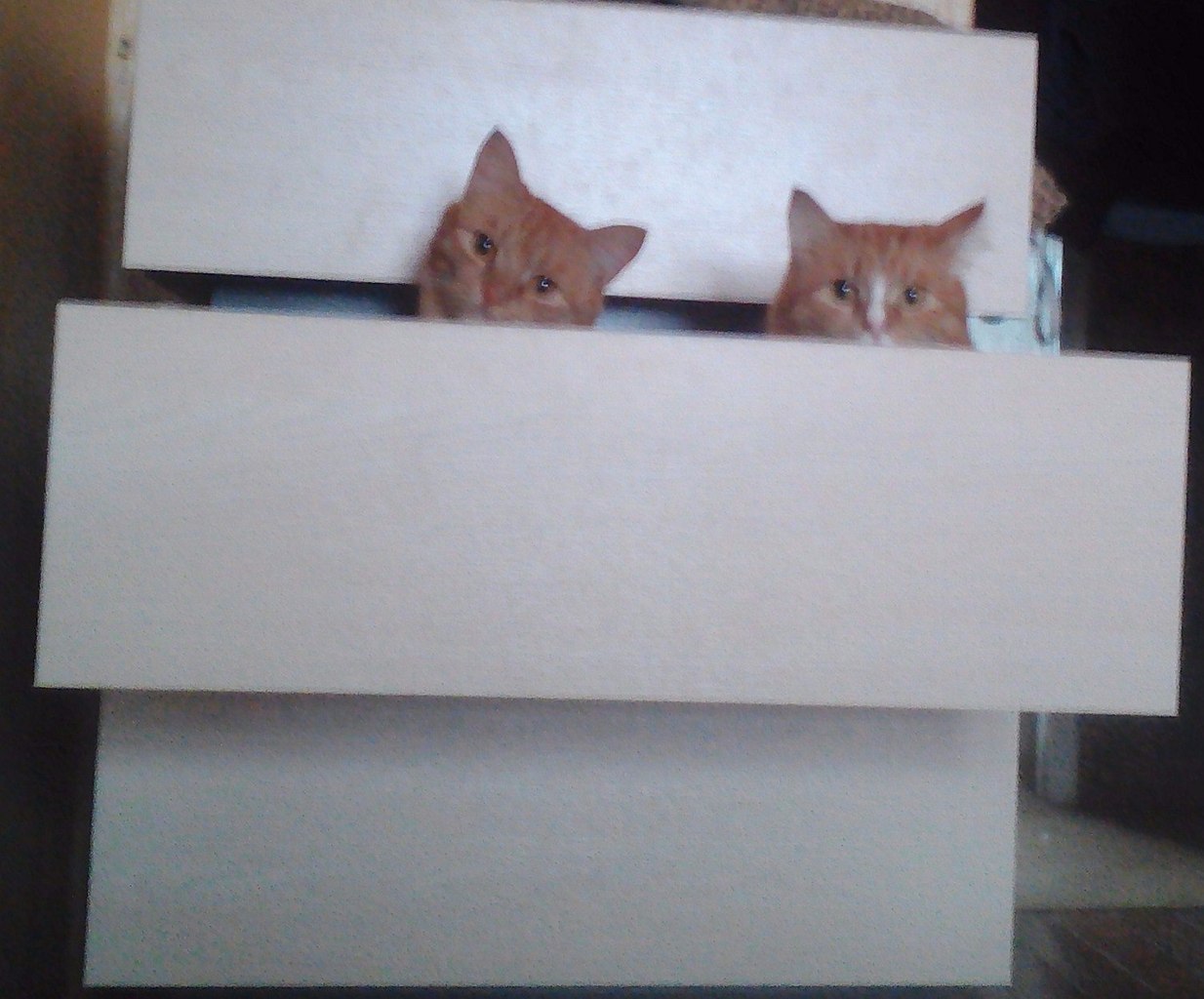 #_. .       - 7 .   , ... - 4