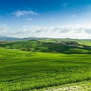 ���� ������, ������, 39 ��� - ��������� 31 ������� 2017 � ������ ���� ����������