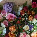 ���� Elina, ����, 50 ��� - ��������� 30 ������� 2017 � ������ ���� ����������