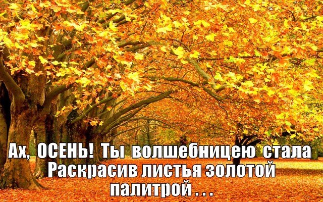 Пойдем гулять.По солнечным аллеям, Туда, Где хороводит Листопад, Где обязательно Душа теплеет И ...
