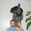 ���� ������, ������, 46 ��� - ��������� 18 ������ 2017