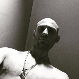 �����, ���������, 44 ����