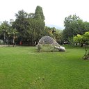  , , 60  -  30  2017   29.08.17.,  .