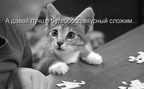   - 2  2017  16:56
