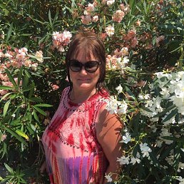 ������, �������, 62 ����