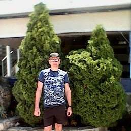 ���� ��������, ������ - ��������� 29 ���� 2017