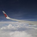 ���� ���, ������, 38 ��� - ��������� 26 ���� 2017 � ������ �������