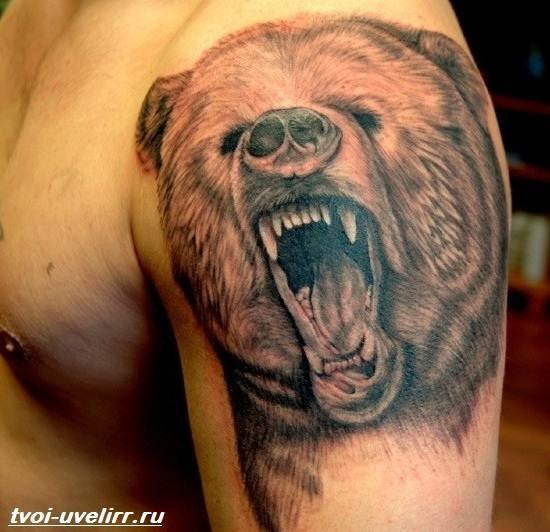 Что означает тюремная татуировка «Медведь»