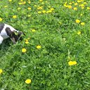 ���� ������, ������, 64 ���� - ��������� 31 ��� 2017 � ������ ������ ��������