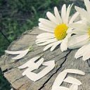 ���� �����, ������ ��� - ��������� 26 ���� 2017 � ������ ���� ����������