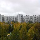  , -, 50  -  11  2017