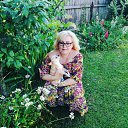 ���� ����, ������, 53 ���� - ��������� 16 ���� 2017 � ������ ���� ����������