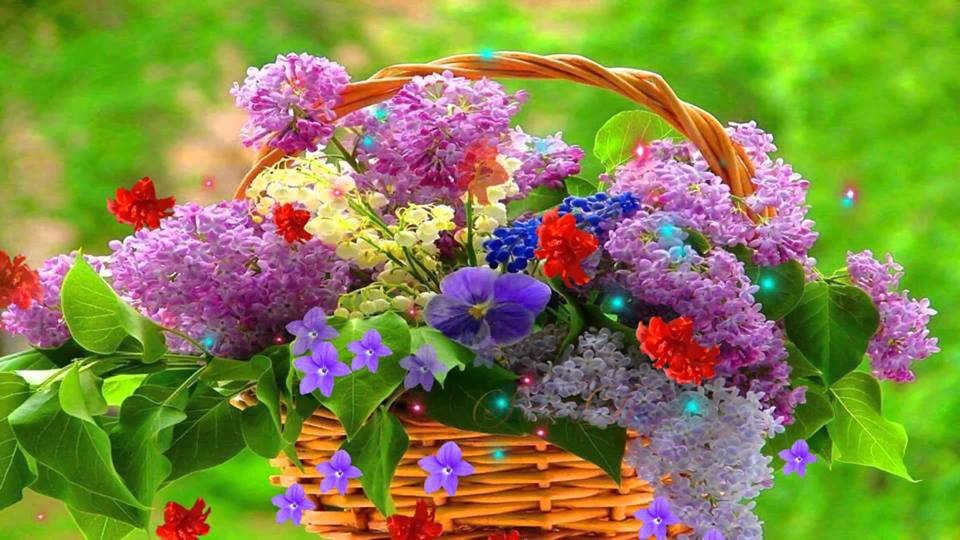 �. ������ ���� , �������!!!! �������� �� �� ���!!!!!