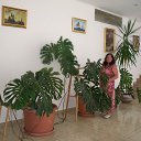 ���� Ana, ����������� - ��������� 8 �������� 2017 � ������ ������ � ������� (����)�