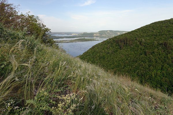))).САМАРСКАЯ ЛУКАСамарская Лука - самая большая, значительно выраженная и известная излучина реки ... - 4